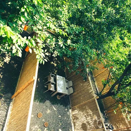 Apartman Bahceli Concept *