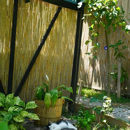 Bahceli Concept * سبانجا