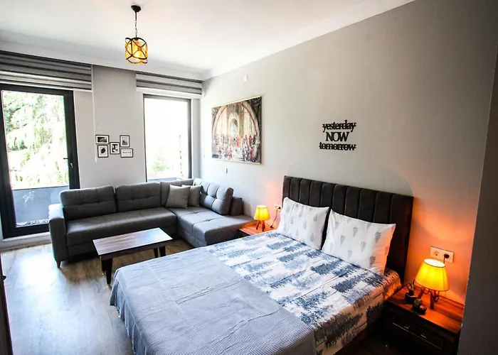 Bahceli Concept Διαμέρισμα Sapanca